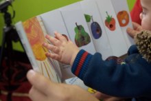 Child reads The Very Hungry Caterpillar. (United Way)