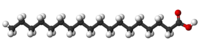 Stearic-acid-3D-balls.png