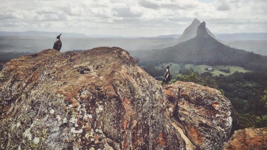 Bird's eye view of the Glass House Mountains