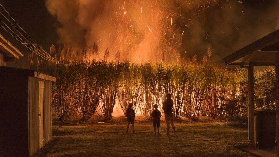 Pic of the week: Cane fire