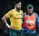Unwanted: Adam Ashley-Cooper has not had his contract renewed by Bordeaux-Begles.