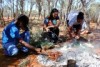 Aboriginal people cooking some bush tucker. 