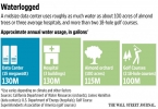 Data Center Power & Water Consumption