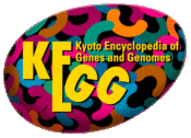 KEGG database logo.gif