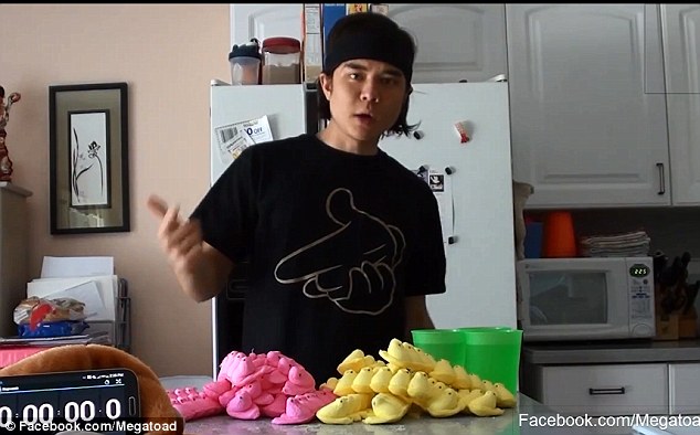 The 100 Peeps are laid out on a kitchen counter before Stonie devoured them.