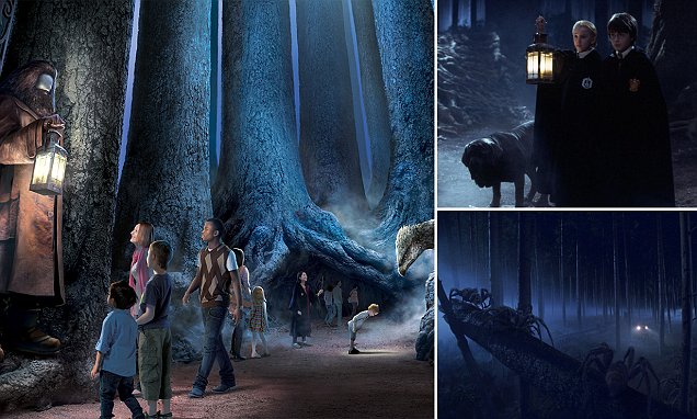 The Forbidden Forest opens up at the Warner Brothers Tour