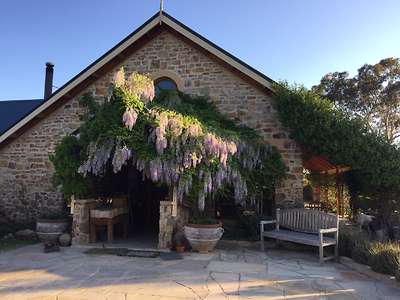 Beautiful wisteria over the front porch