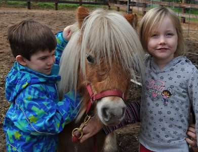 Lots of cuddly animals to play with Pony rides