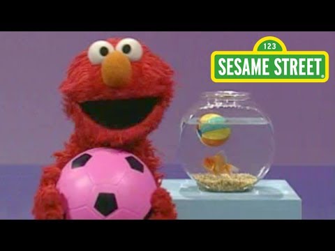 Sesame Street: Elmo's World: Play Ball!