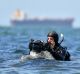 Dr Julian Finn explores the water at Williamstown for the weirdest marine creatures.