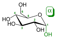 Alpha-D-glucopyranose-2D-skeletal.png