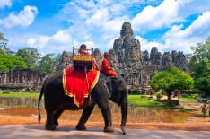Cambodia elephant Angkor Wat