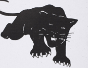 Black Panther logo