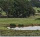 Land at West Appin to Sydney's south-west, ear-marked for future housing development.