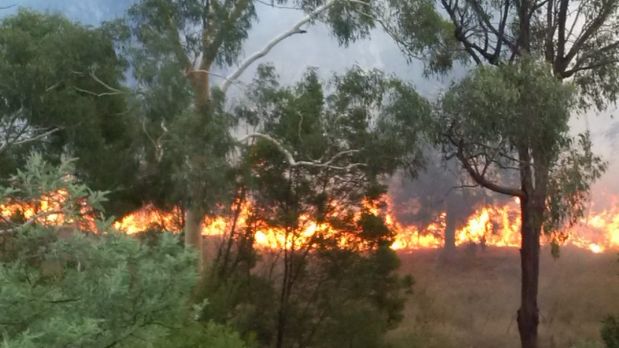 Firefighters have extinguished a grass fire burning at Latham.