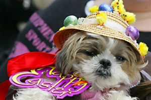 Easter hat parade ideas for kids. 