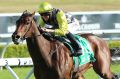 Back together: Jason Collett winning the Nivision Stakes on Egyptian Symbol at Randwick in October.