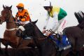 Many Clouds (right) collapsed at Cheltenham after the Betbright Trial Cotswold Chase.