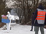 Six teenagers - one woman and five men all aged 18 or 19 - were found dead Sunday after holding a party in a garden shed in Arnstein, Germany. Pictured above, a police officer stands in front of a closed off entrance to the private ground