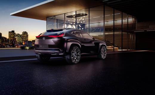 Lexus UX Previews Future Compact Crossover