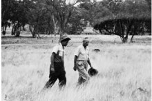 The history of Aboriginal trackers (Overnights)