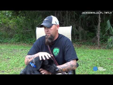 Watch service dog calm war vet's PTSD reaction