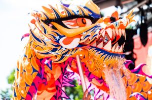 The dragon performance at Federation Square for the opening of The Chinese New Year Melbourne festival.