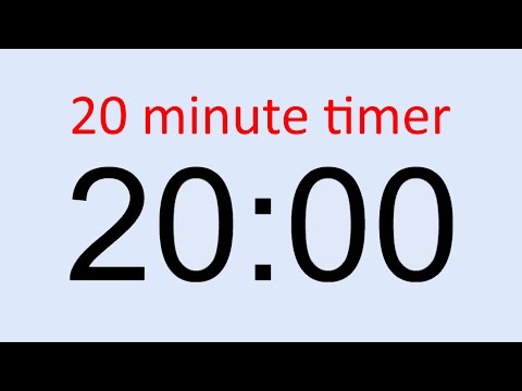 20 minute timer