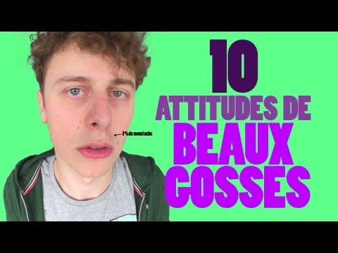 NORMAN - 10 ATTITUDES DE BEAUX GOSSES