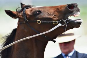 Lankan Rupee