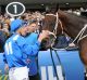 Ready to go: Champion mare Winx is set to return in the Apollo Stakes at Randwick on February 11.