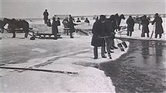 Le commerce de la glace, du fleuve à la glacière