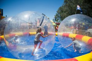 Inflatable ball rides at the Bungendore show.