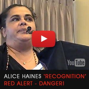 Alice Haines explains the deceit in Constitution 'Recognition'