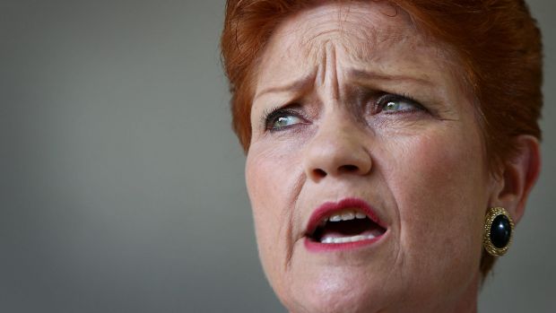 The growing appeal of Pauline Hanson's One Nation has left the Queensland LNP with a dilemma