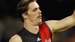 MELBOURNE, AUSTRALIA - JUNE 19: Joe Daniher of the Bombers celebrates a goal during the 2016 AFL Round 13 match between ...