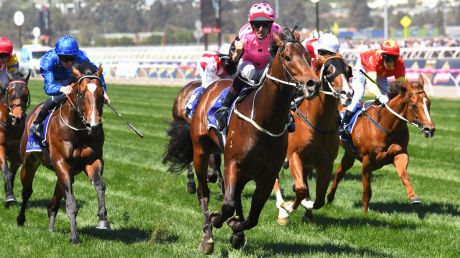 Dreaming of The Everest: Flying Artie wins the Coolmore Stud Stakes and now has another mountain to climb.