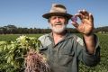 Farmer Peter Scott shows off one of his genuinely purple chips in front of the next crop of purple potatoes at ...