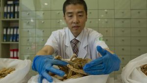 Shuquan Liu prepares ingredients at his Chinese Medicine Centre in Bondi Westfield.
