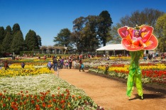 Canberra, Australia - October 1, 2014: A stilt walker dressed as a flower walks around flowerbeds at the Floriade ...