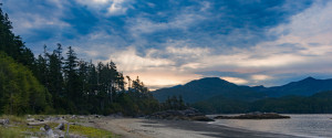 Tofino