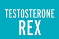 <i>Testosterone Rex</i> by Cordelia Fine.