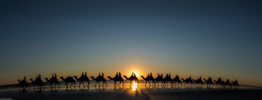 Sunset Silhouette - Taken with my Canon Fisheye Lens to capture a wide angle, I had just a few seconds to try and grab ...