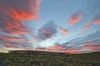 Tierra Patagonia. The long, flat design of the building blends into the landscape.