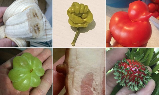 Strange foods make you take a second look