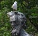 The Burke and Wills statue on City Square appears to be a popular landing point for seagulls.