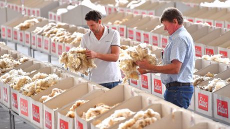 Wool growers Jarod Koschitzke and his father Greg Koschitzke inspecting wool before Thursday's auction. Australian wool ...