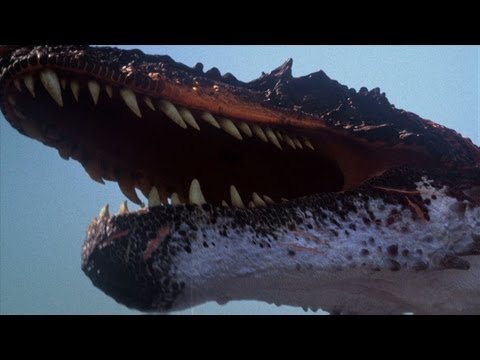 The BEST of Discovery's Dinosaurs