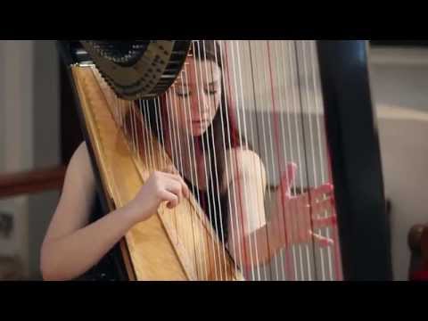 J.S. Bach - Toccata and Fugue in D Minor BWV 565 - Amy Turk, Harp