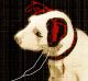 Colour artwork by Peter Long Illustration of dog / EMI dog listening to headphones Digital downloads